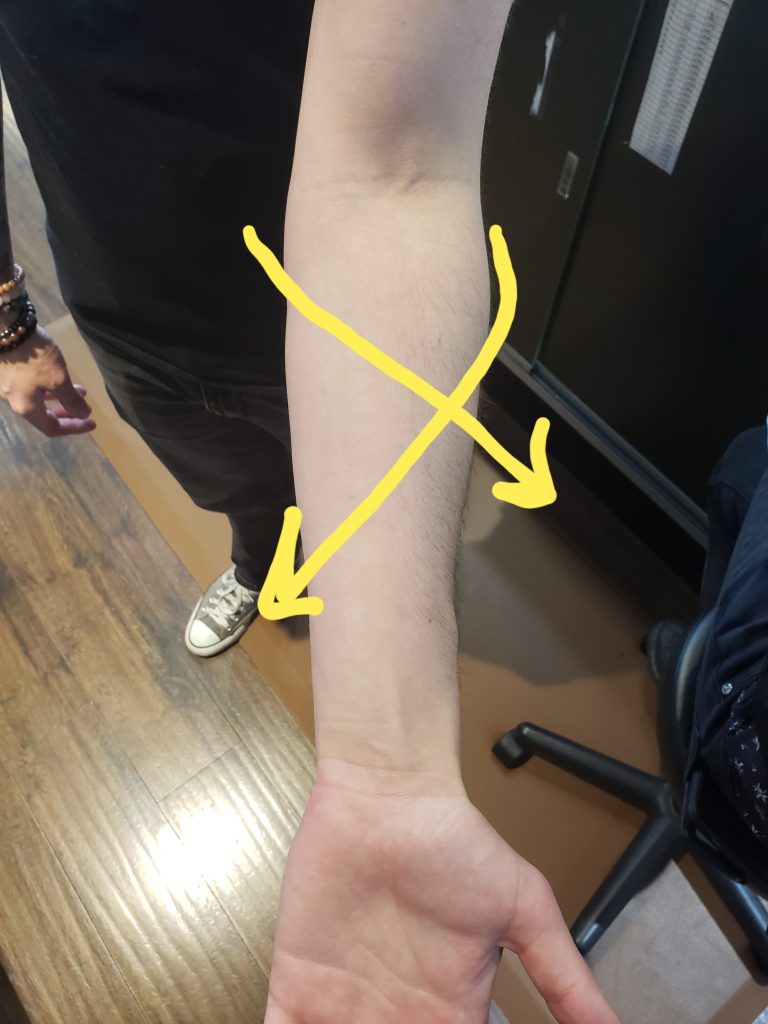 A forearm with a basic mapping done by the elbow.